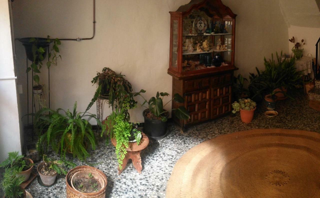 Apartament Rural Vilaplana ภายนอก รูปภาพ